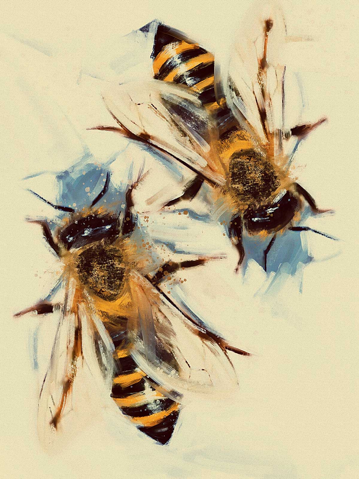 Bees - Digital Illustration