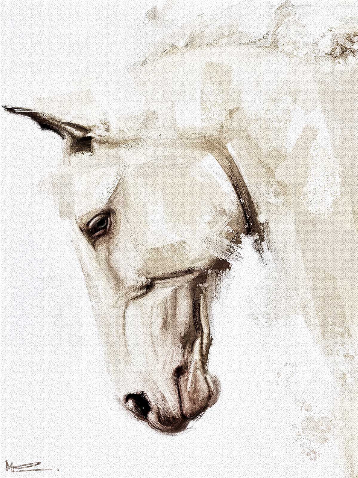 Horse - Digital Illustration